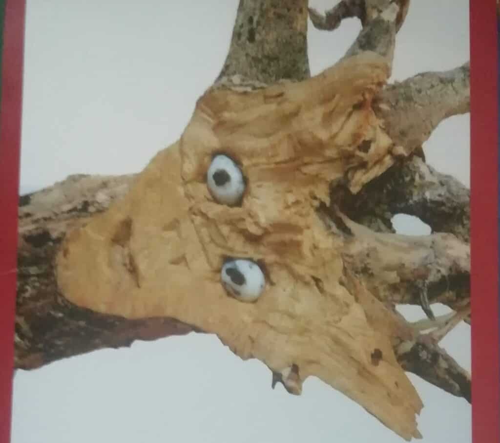 Foto matti per la liberta 3